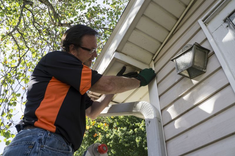 Vinyl Siding Repair - Inspection